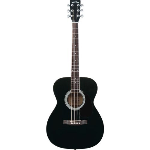 アコースティックギター フォークタイプ FG-10/BK(S.C) ブラック