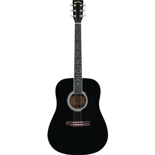 アコースティックギター フォークタイプ FG-10/BK(S.C) ブラック Sepia 