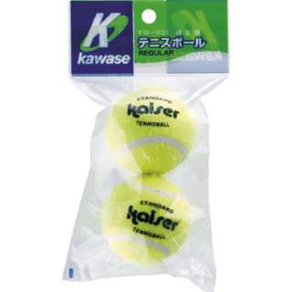 硬式网球球2P KW-431