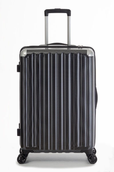 スーツケース ハードキャリー 66L カーボンブラック ALI-6008-24 [TSA