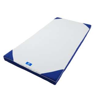 横寝护理垫子双尺寸(8×140×195cm/蓝色)HC29008003 HC29008003蓝色