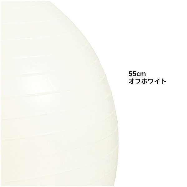 停止从属于环的健身房球姿势内容丰富的(55cm/白)3B-3122_3