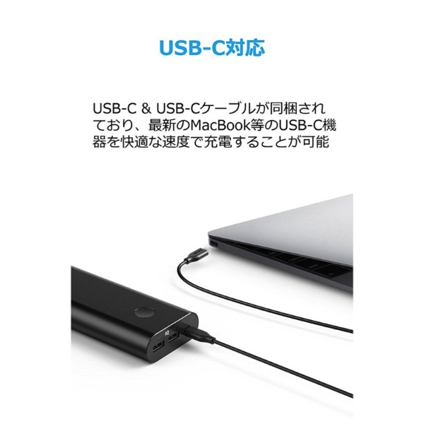 PowerCore+ 20100 USB-C black A1371N11-9 [20100mAh /3ポート /充電 ...