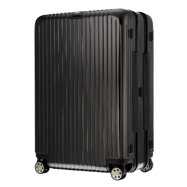 スーツケース 128L SALSA DELUXE（サルサデラックス） グランナイトブラウン 830.80.33.4