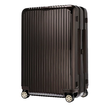 スーツケース 128L SALSA DELUXE（サルサデラックス） ブラウン 830.80.52.4 【並行輸入品】