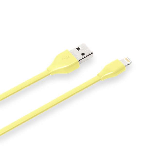 USB-A  Lightning [dE]P[u iCharger tbg [0.5m /MFiF iPhoneEiPadEiPod] PG-ELFC05M24YE CG[_2