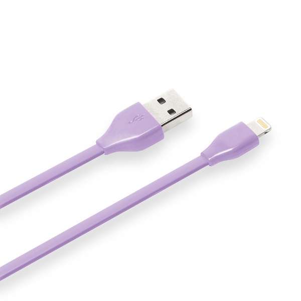 USB-A  Lightning [dE]P[u iCharger tbg [0.5m /MFiF iPhoneEiPadEiPod] PG-ELFC05M27PP p[v_2