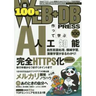 WEB+DB PRESS 100