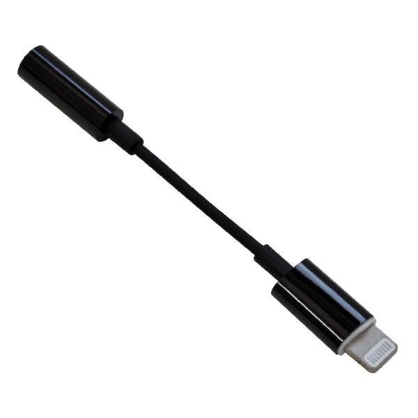 ライトニング Lightning →USBタイプC USB-C 変換アダプター