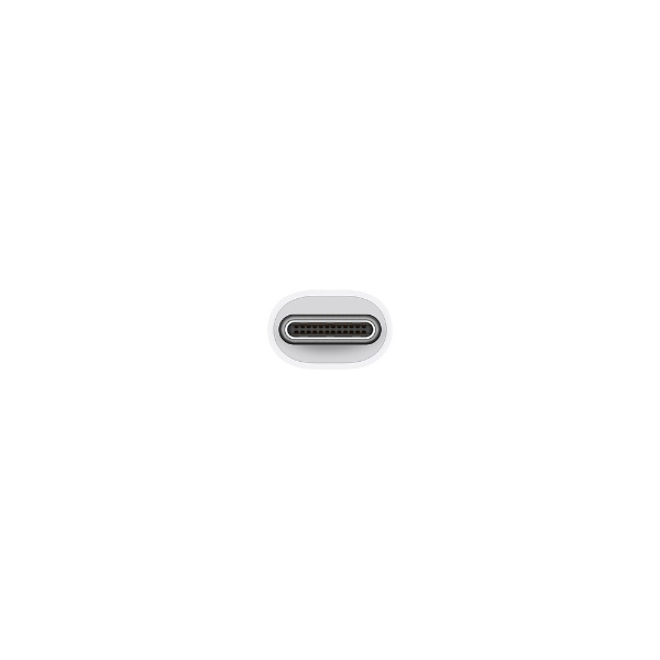 Apple USB-C to Digital AV (HDM)変換