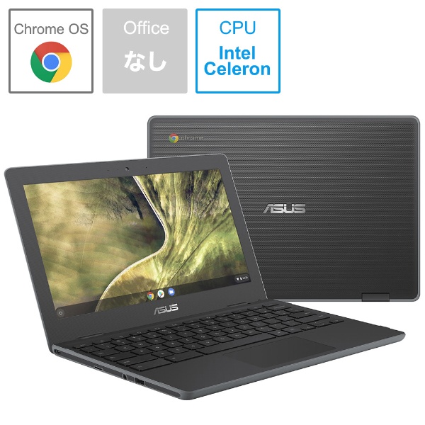 ASUS Chromebook C204MA (C204MA-GAENG)