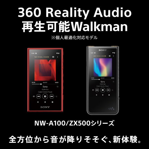 ビックカメラ.com - ウォークマンWALKMAN2019年モデル［イヤホンは付属していません］ Aシリーズ ブラック NW-A105  [ハイレゾ対応 /16GB]