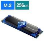 SSD-GC256M2 SSD GigaCrysta E.A.G.L PCQ[ [256GB /M.2]