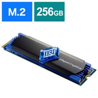 SSD-GC256M2 SSD GigaCrysta E.A.G.L PCQ[ [256GB /M.2]_1
