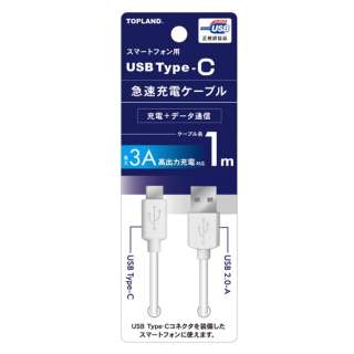 USB Type-C}[dP[u@1