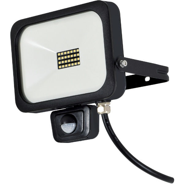 日動 カメラ付 LEDセンサーライト（60Hz専用） SLS-18W-C-60 日動工業