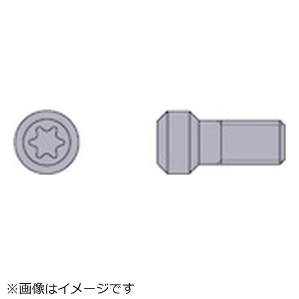 MITSUBISHI 三菱マテリアル 部品(クランプねじ) TS253 通販