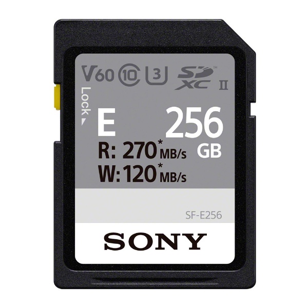 SDカード [容量:256GB] 通販 | ビックカメラ.com