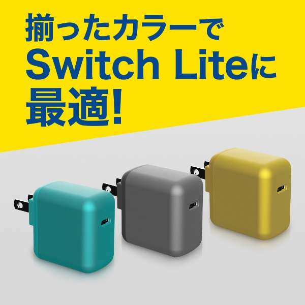 SwitchLitep USB-C [d ^[RCY BKS-NSL013 ySwitch Litez_4