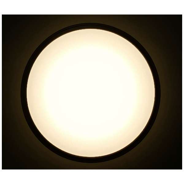 LED吸顶灯声音操纵木材架子CL12DL-5.11WFV-M[12张榻榻米/白天光线色～灯泡色/遥控附属的]_3