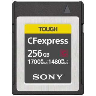 CFexpressカード　Type B TOUGH(タフ) CEB-Gシリーズ CEB-G256 [256GB]