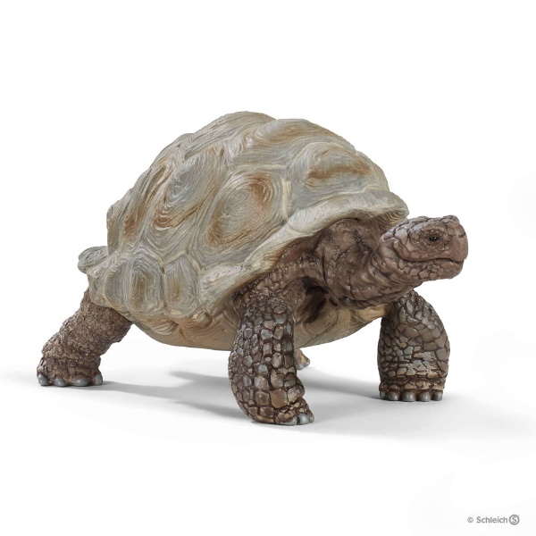 シュライヒ 14824 ゾウガメ シュライヒジャパン｜Schleich 通販 | ビックカメラ.com