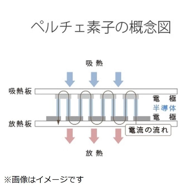 ワインセラー CF-P7 [7本 /右開き] 《基本設置料金セット》 デバイスタイル｜deviceSTYLE 通販 | ビックカメラ.com