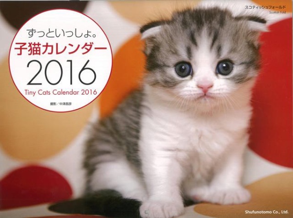 【バーゲンブック】ずっといっしょ。子猫カレンダー2016