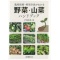 [大减价书籍]蔬菜、野菜手册