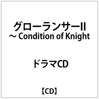 ih}CDj/ O[T[II Condition of Kinght yCDz
