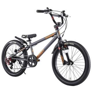 20^ qp] D-Bike Xstreet 20S(_[N^/O6iϑ) yKgF111`138cm/6ΑOz yLZEԕisz