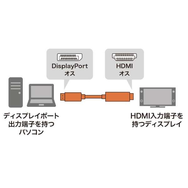 succes pilfer fingeraftryk 映像変換ケーブル ブラック KC-DPHDA30 [HDMI⇔DisplayPort /3m] サンワサプライ｜SANWA SUPPLY 通販 |  ビックカメラ.com