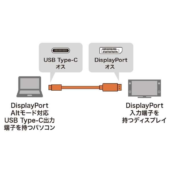 USB-C  DisplayPort P[u [f /2m /4KΉ] ubN KC-ALCDP20_2