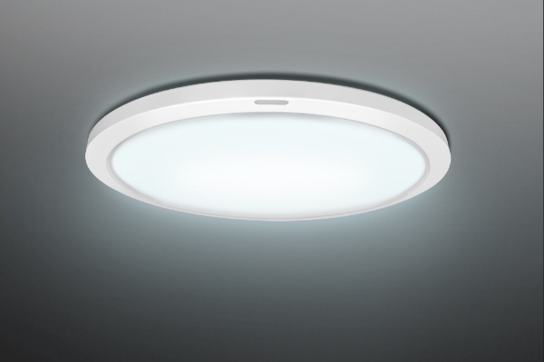 導光板】【全面発光】LEDシーリングライト NLEH08015A-LC [8畳 /昼光色