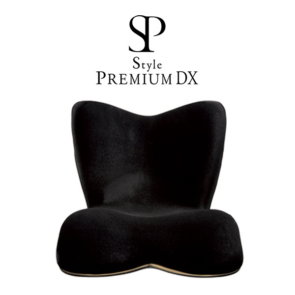 Style PREMIUM DX スタイルプレミアムデラックス - www.ecotours-of