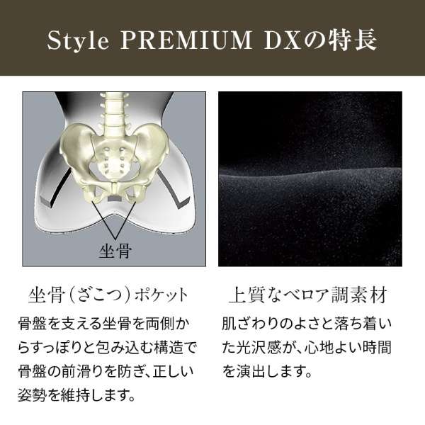 MTG姿势支援席Style PREMIUM DX 2风格高级华丽二黑色YS-AM03A风格Style里奇黑色YS-AM03A_4