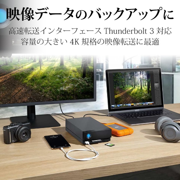 STHS4000800 外付けHDD Thunderbolt 3接続 (Thunderbolt 3 / USB-A / DisplayPort /  CF・SDカードリーダー) 1big dock [4TB /据え置き型]