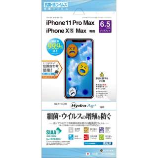iPhone11 Pro Max/XS MaxRۥRECXtB NA HP2492IP965