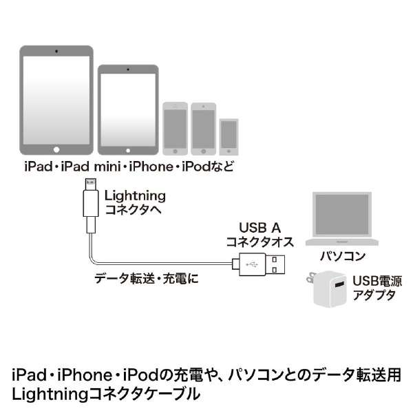 Lightning  USB-AP[u [dE] zCg KB-IPLT10K3W [1.0m]_2