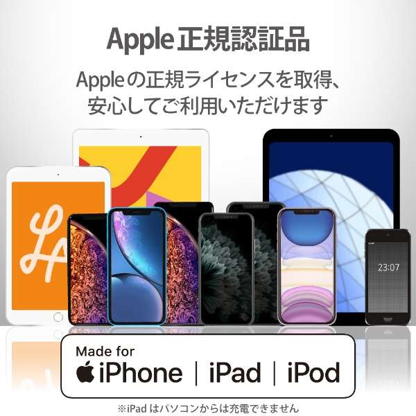iPhone [dP[u CgjOP[u 2m MFiF fɂ ϋvdl A~RlN^ y Lightning RlN^[ iPhone iPad iPod AirPods Ή z O[ O[ MPA-UALPS20GY [2m]_3