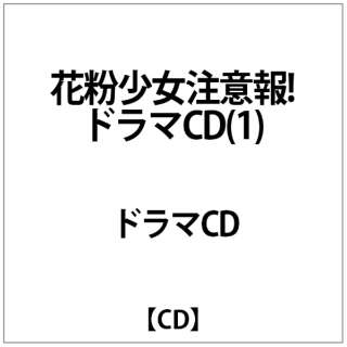 ԕӕ!CD(1) yCDz