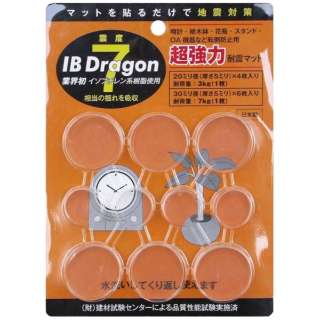 TM3005 ͑ϐk}bg  IB Dragon