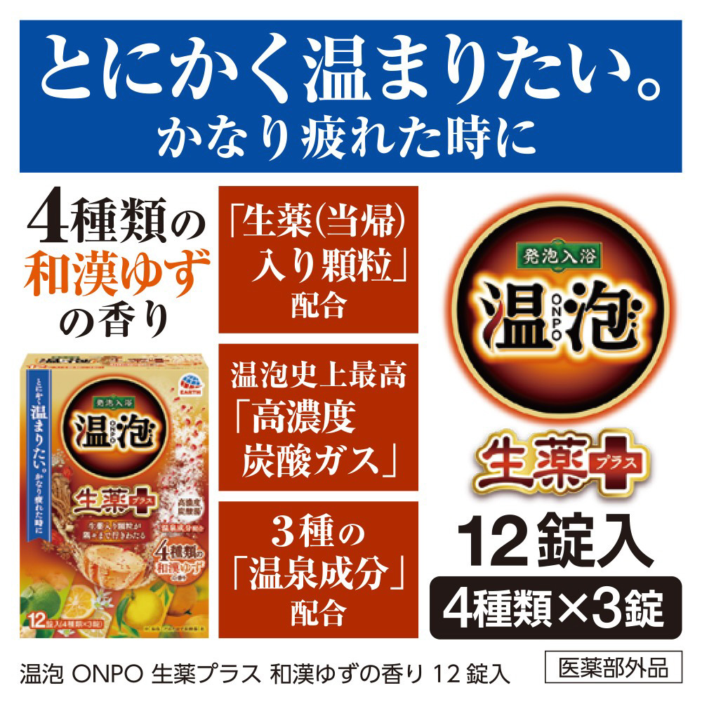 ���A ONPO ����v���X �a���䂸�̍��� 12��_6