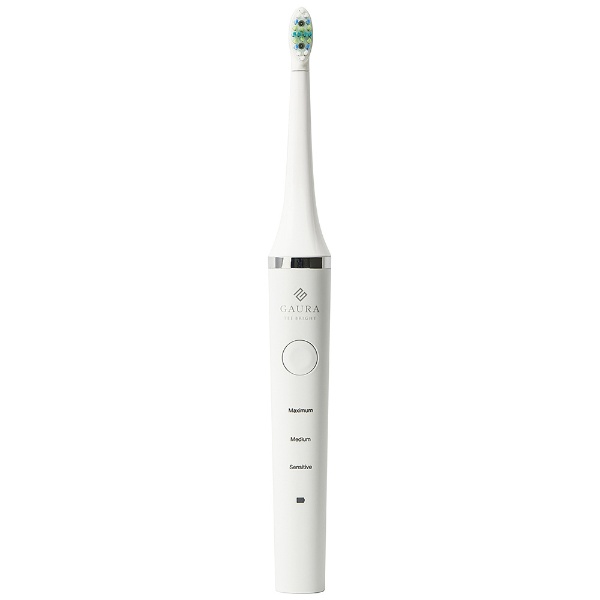家庭用 LED付きホワイトニング電動歯ブラシ TEE BRIGHT G-TBW-001 