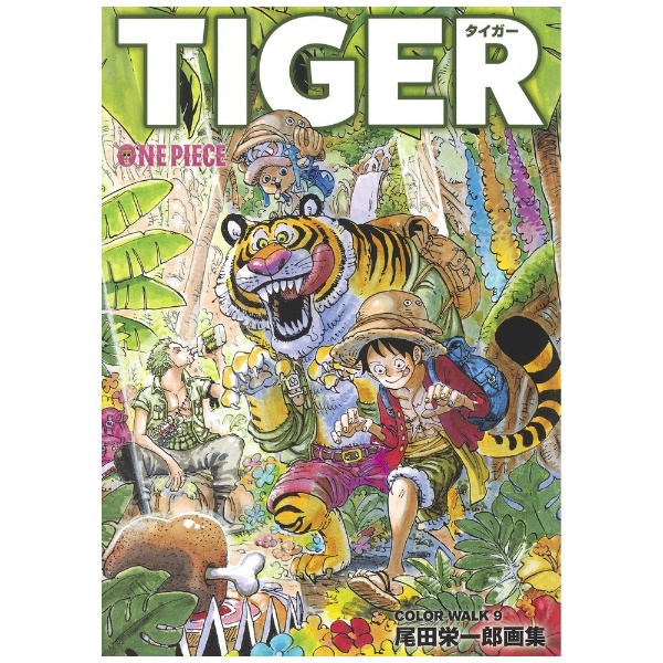 愛蔵版コミックス ONE PIECE 尾田栄一郎画集 COLOR WALK 9 TIGER