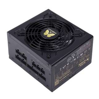 PC電源 LEADEX V G130X 650W [650W /ATX /Gold]