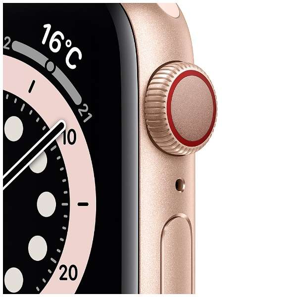 Apple Watch Series 6iGPS + Cellularfj- 40mmS[hA~jEP[XƃsNThX|[coh - M[ S[hA~jE M06N3J/A_2