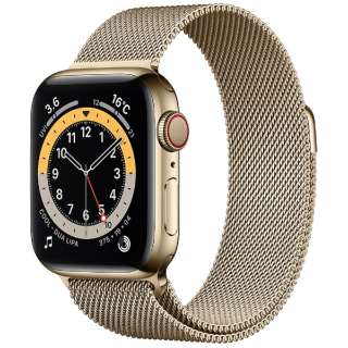 Apple Watch Series 6iGPS + Cellularfj- 40mmS[hXeXX`[P[XƃS[h~l[[[v S[hXeXX`[ M06W3J/A