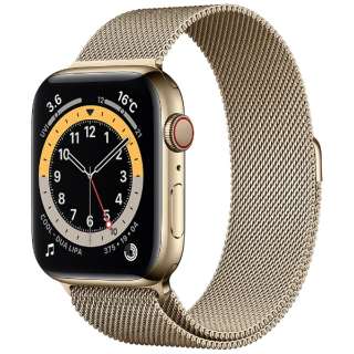 Apple Watch Series 6iGPS + Cellularfj- 44mmS[hXeXX`[P[XƃS[h~l[[[v M09G3J/A