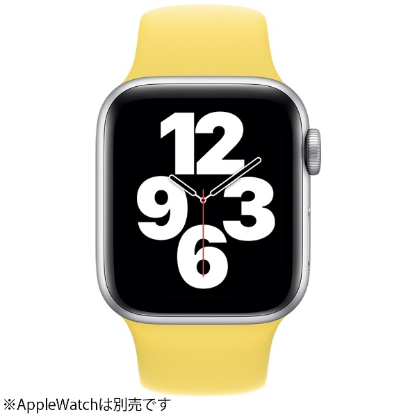 Apple Watch 40mm ジンジャースポーツバンド